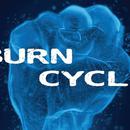 Burn Cycle