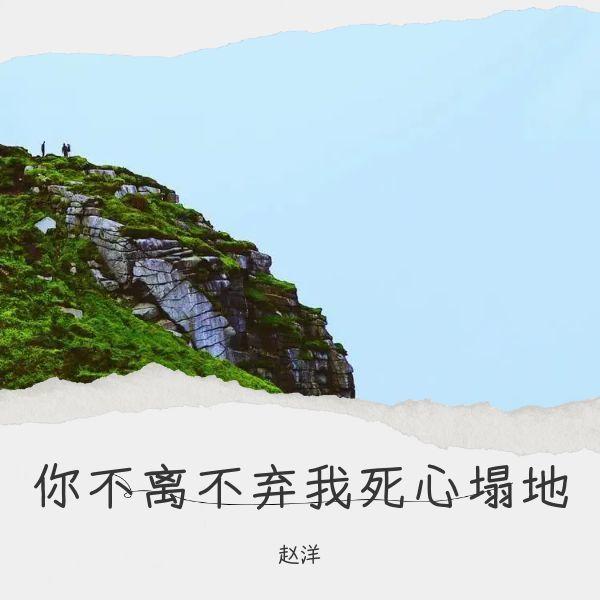 你不离不弃我死心塌地 (伴奏) - 赵洋封面