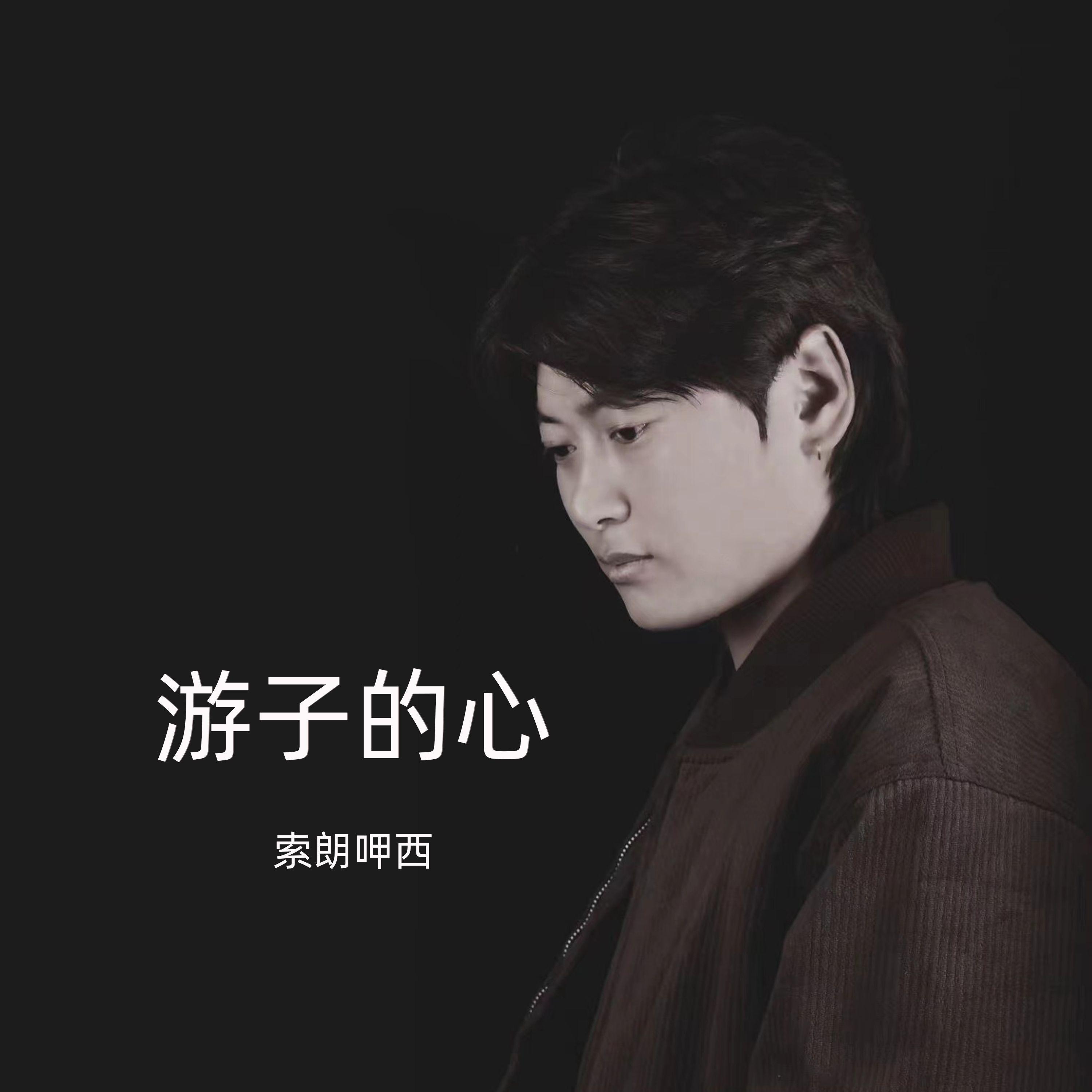 游子的心 (伴奏) - 索朗呷西封面