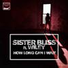 Sister Bliss - How Long Can I Wait