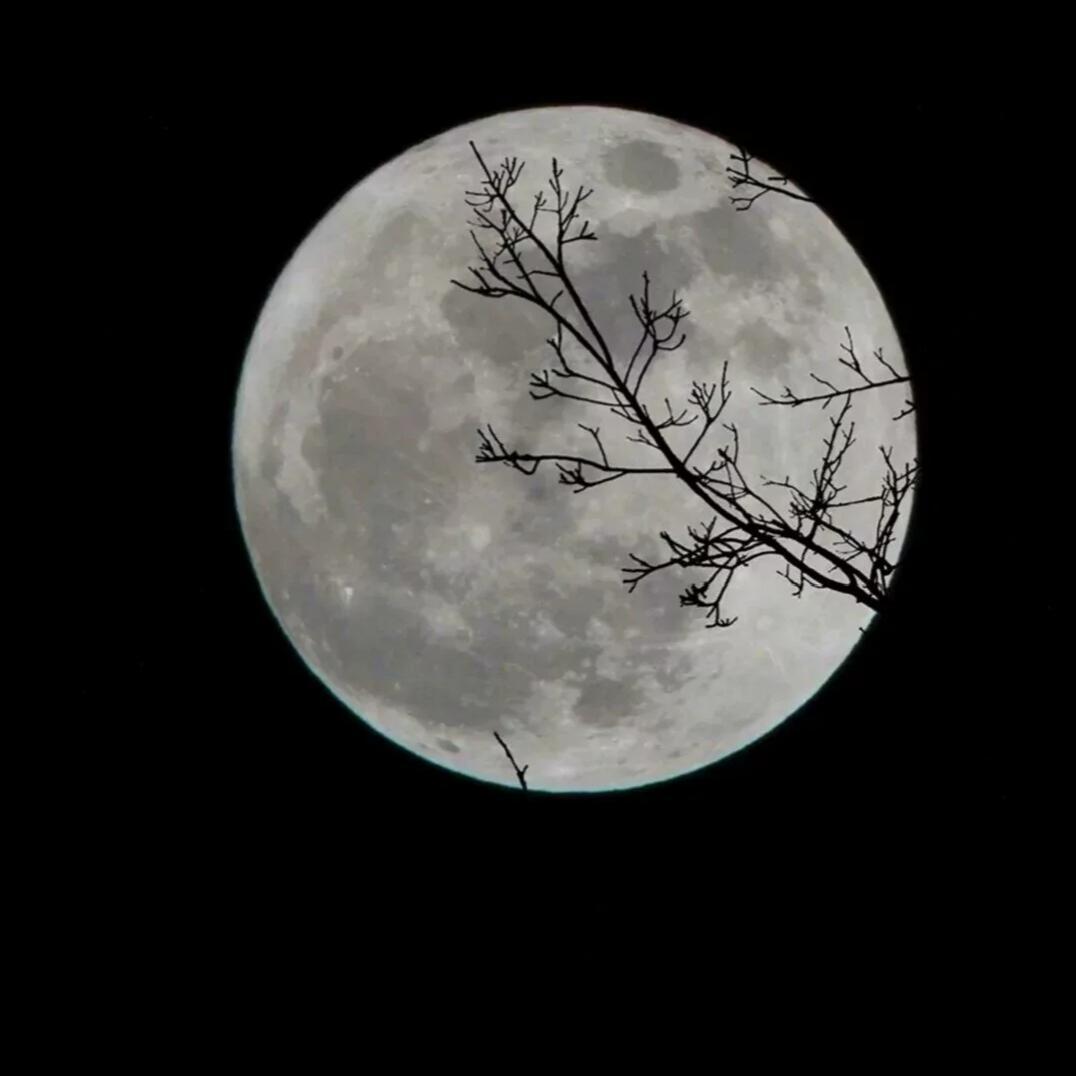 白月光与朱砂痣 伴奏