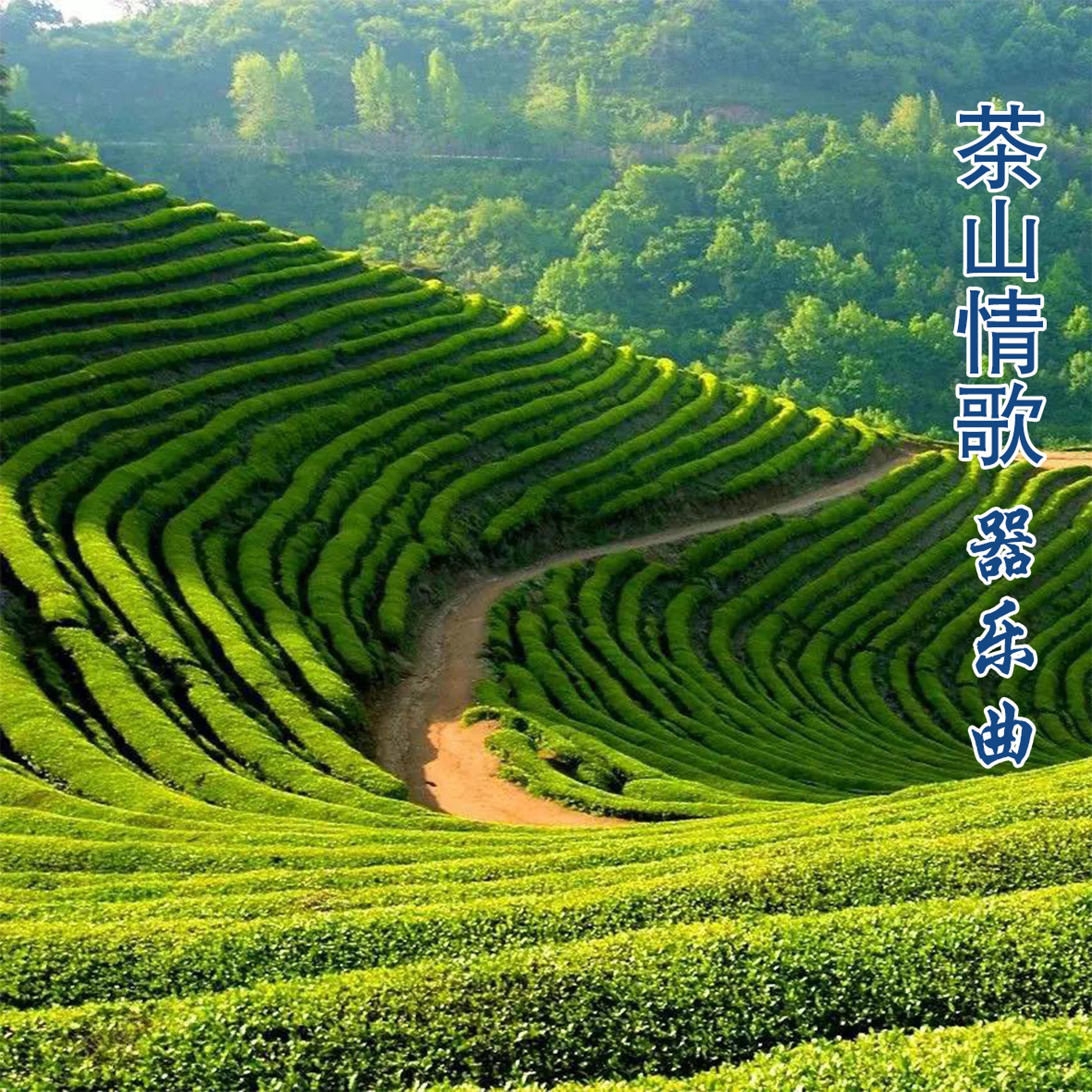 茶山情歌 (笛子演奏版)封面