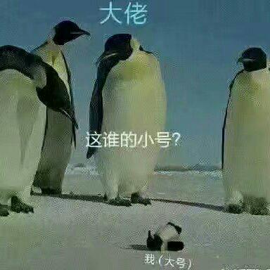 ［码字必备］ 打开wps写断手bgm