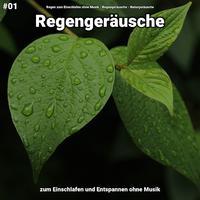 #01 Regengeräusche zum Einschlafen und Entspannen ohne Musik