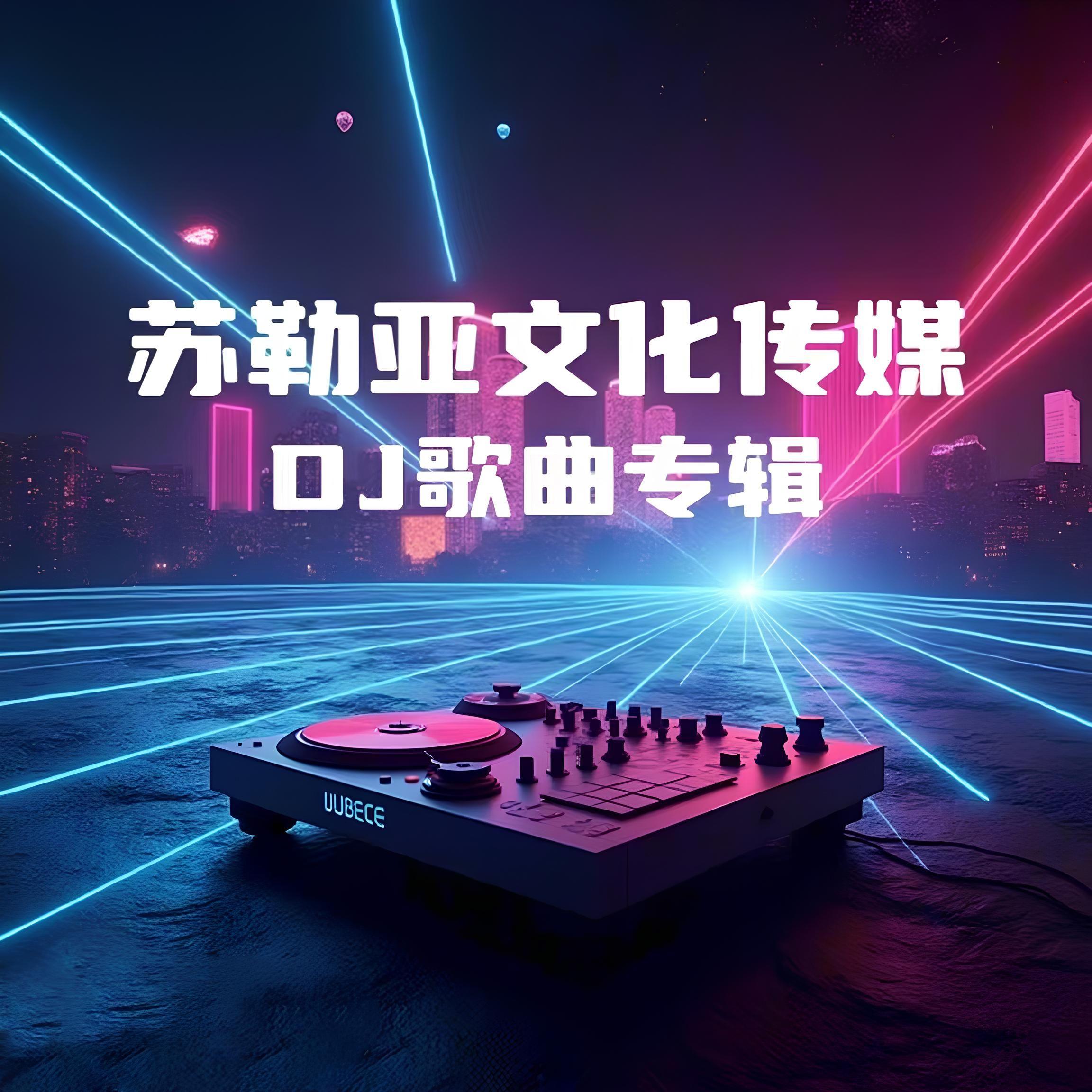 歌在飞 (DJ版)封面
