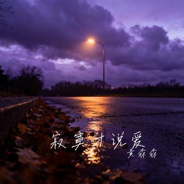 见一面少一面 (Cover 王羽泽)封面