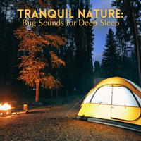 Tranquil Nature: Bug Sounds for Deep Sleep