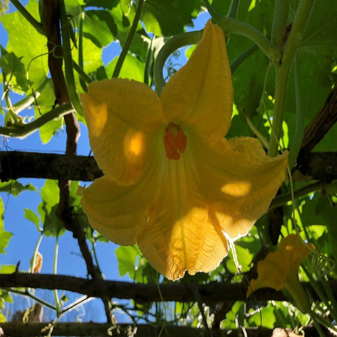 Fingers to the Bone (Live)