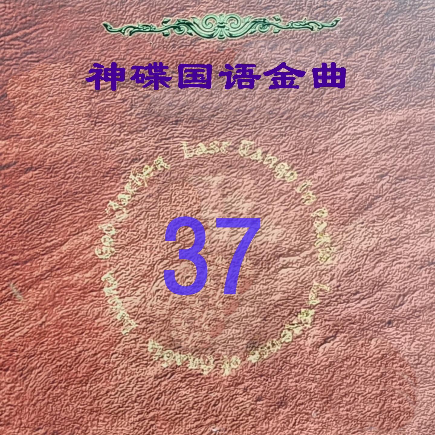真情难收封面