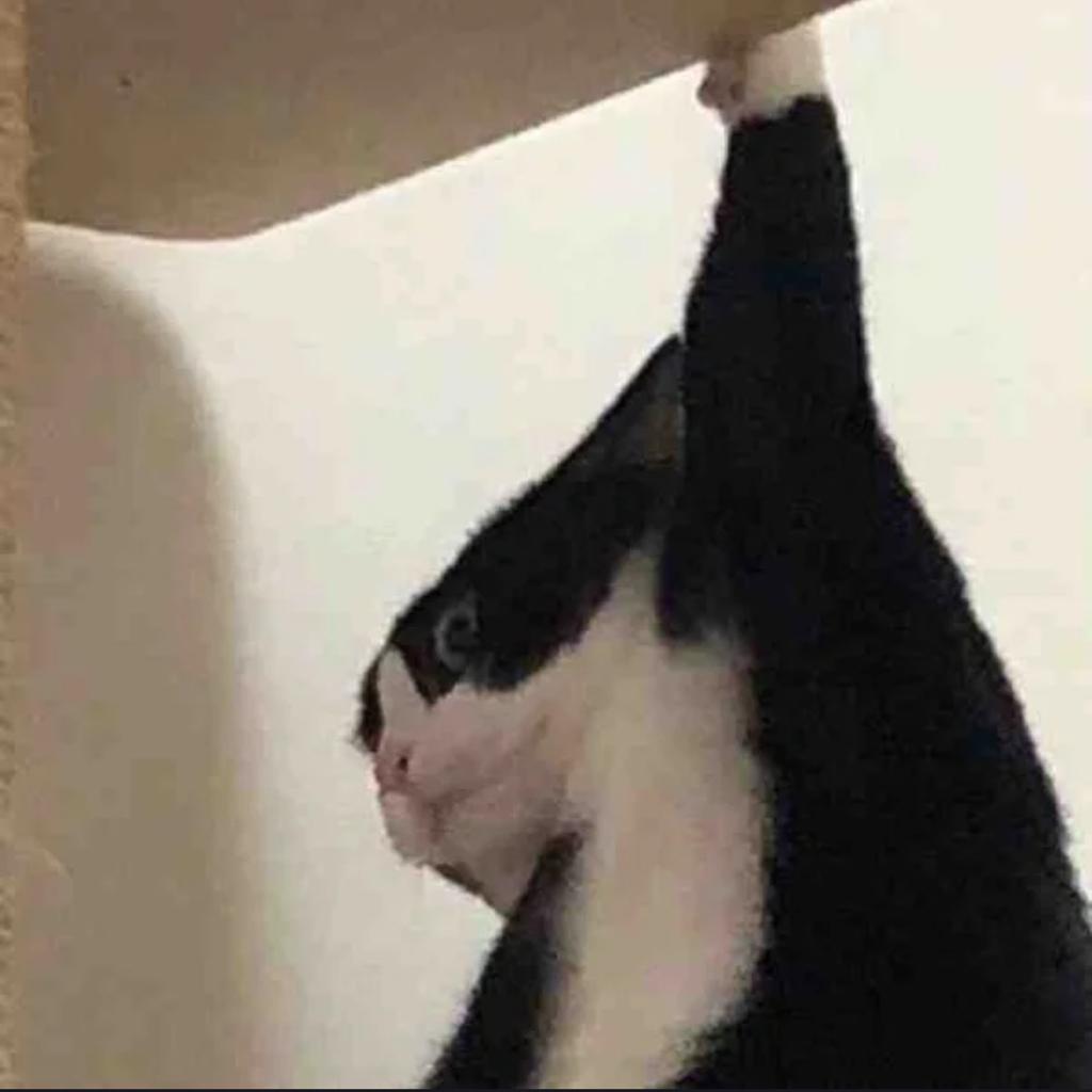 下雨了把小黄花收起来