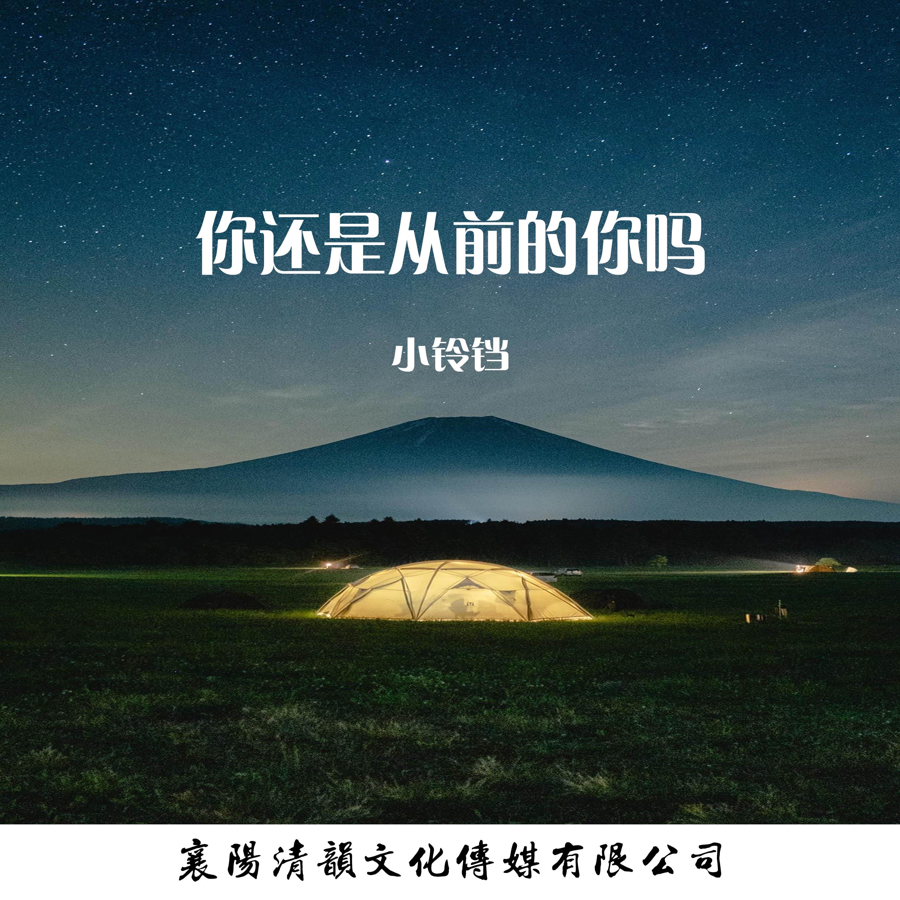 你还是从前的你吗封面