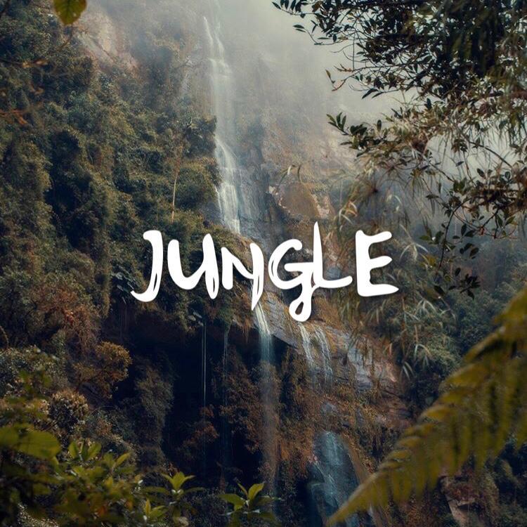Jungle（荒野）