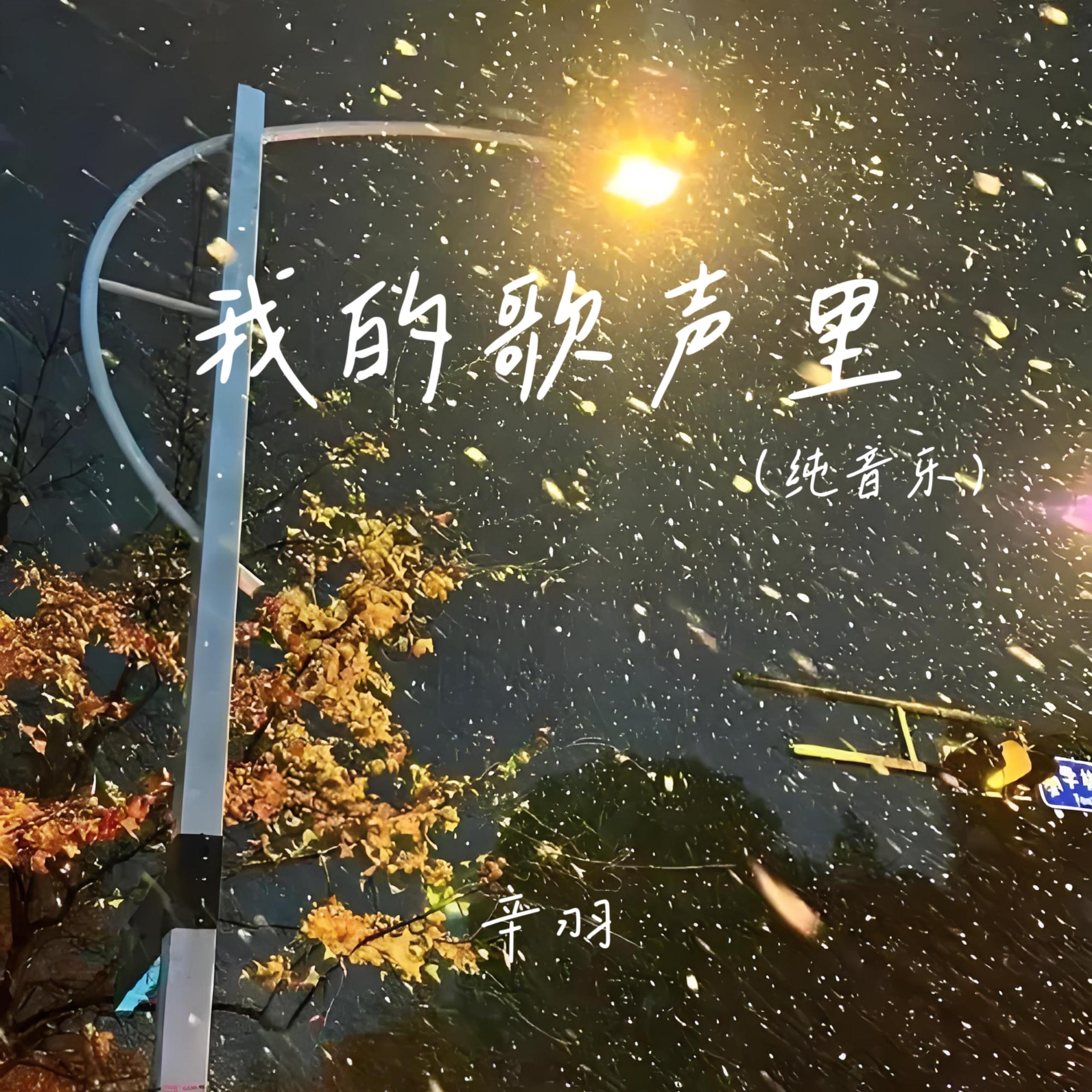 我的歌声里 (纯音乐)封面