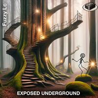 EXPOSED UNDERGROUND