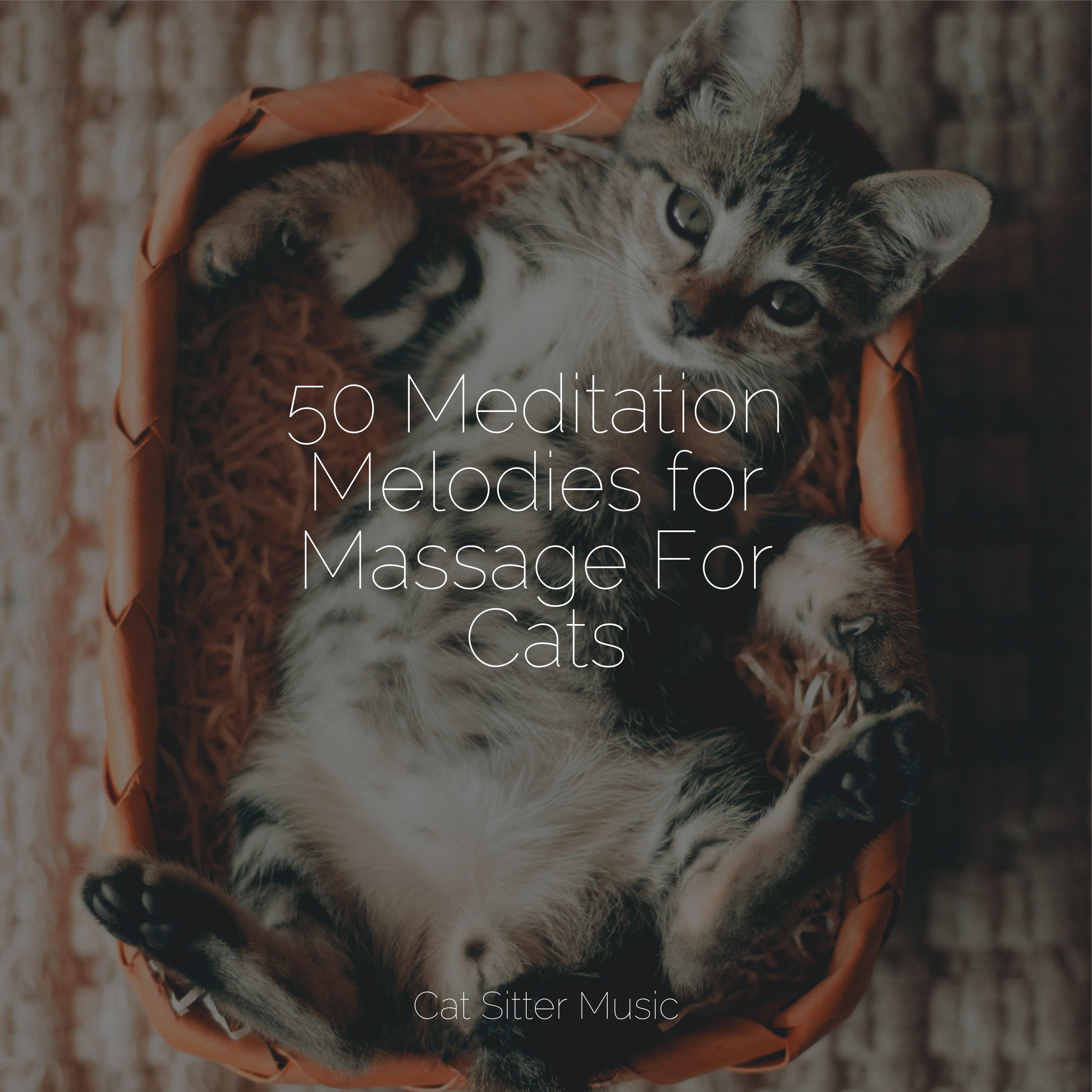 Healing Sounds Cat Music/RelaxMyCat/Official Pet Care Collection 单曲