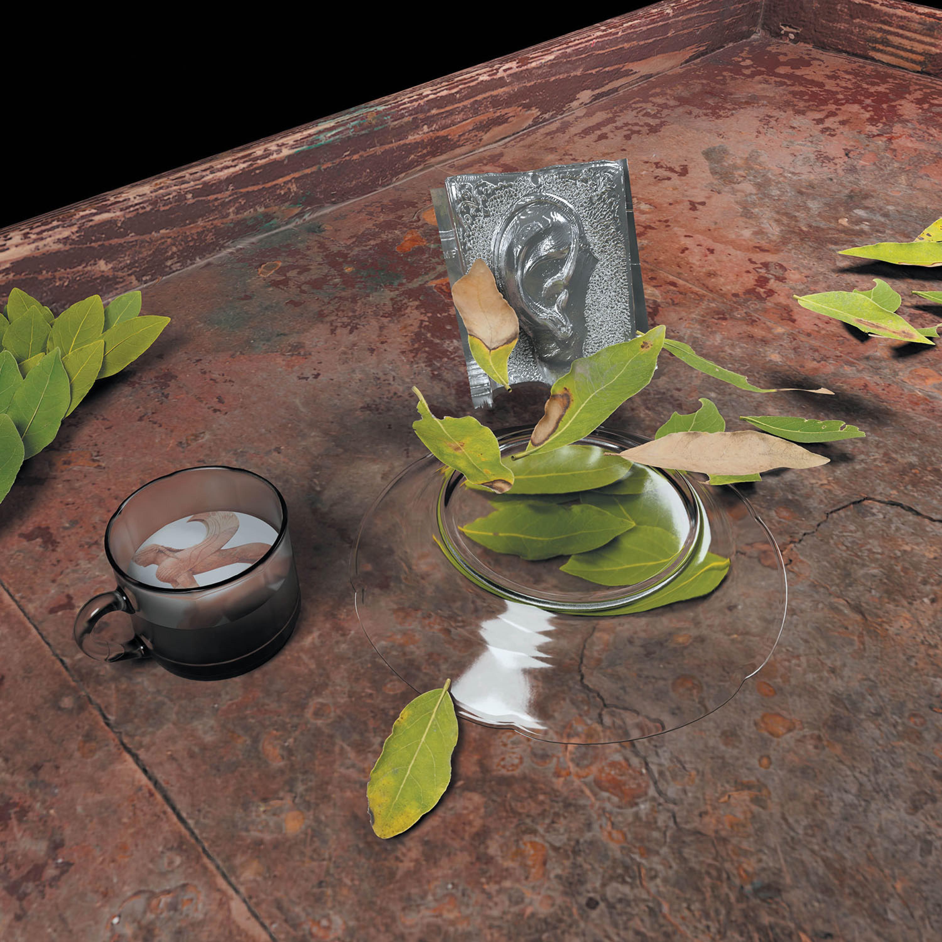 Observations, Edits, a Cure for Restlessness