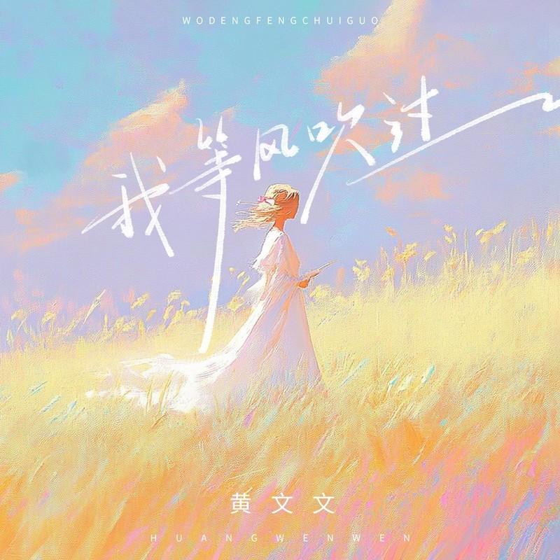 我等风吹过 (伴奏)封面