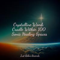 Crystalline Womb: Cradle Within 100 Sonic Healing Spaces