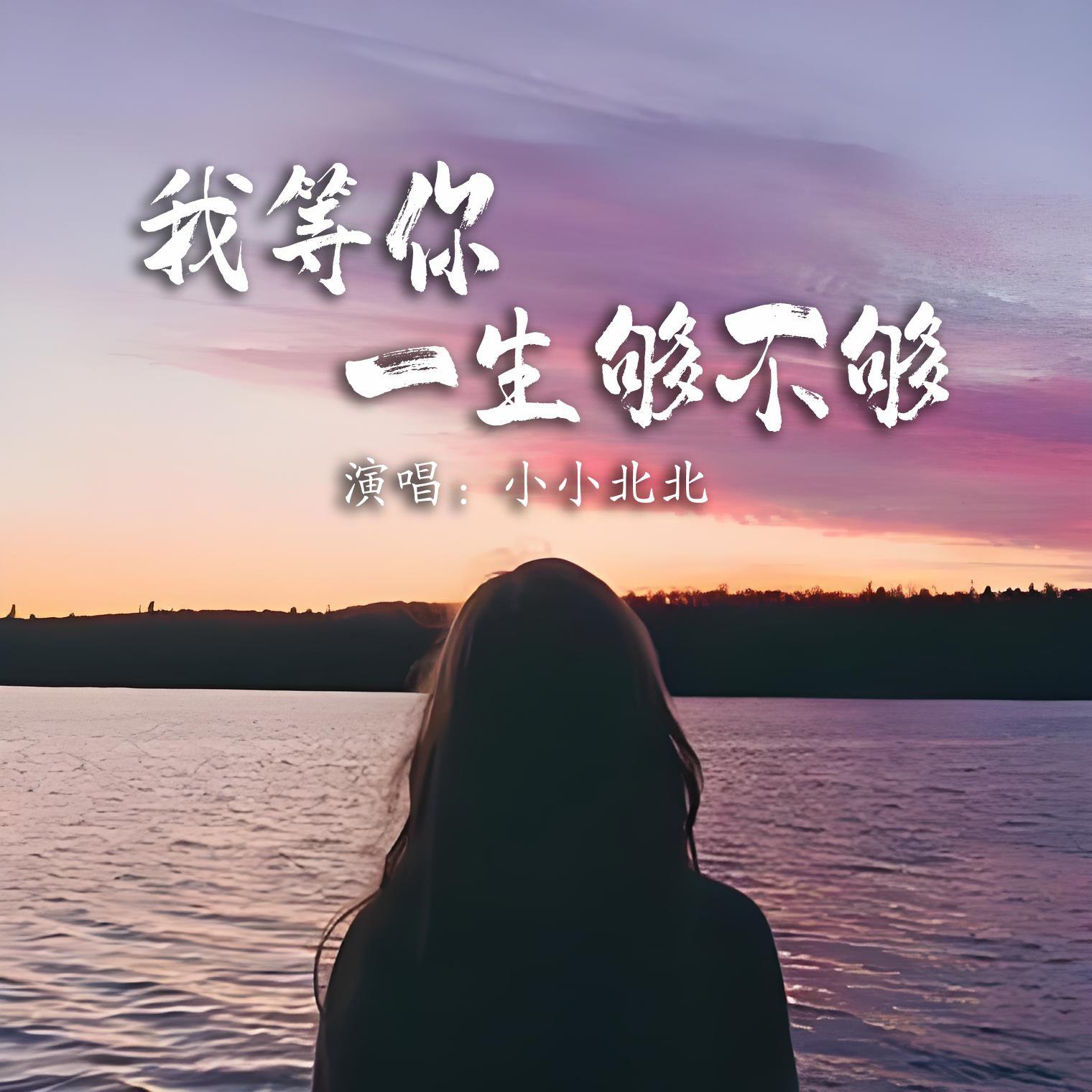 我等你一生够不够封面
