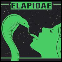 Elapidae