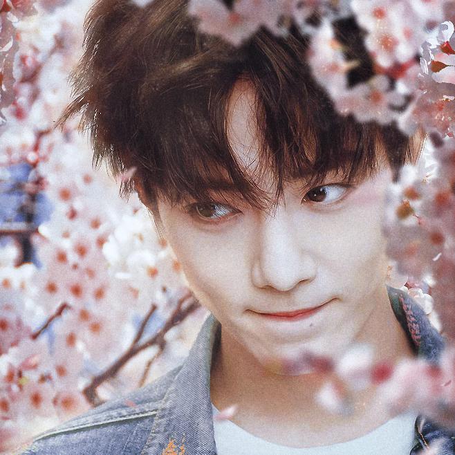 【肖战应援曲】我见山海与少年