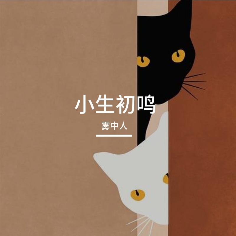 微光下的秘密  伴奏 - 雾中人封面