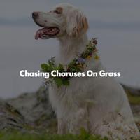 Chasing Choruses On Grass