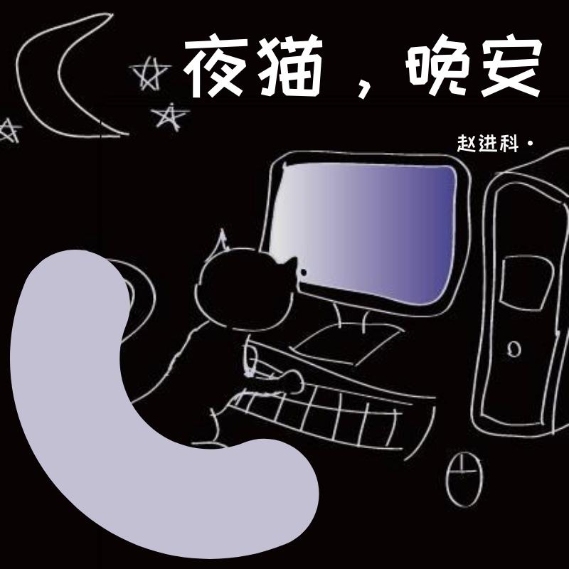 夜猫 抒情版2020封面