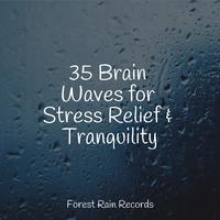 35 Brain Waves for Stress Relief & Tranquility