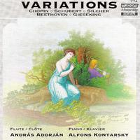 Chamber Music (Flute and Piano) - SCHUBERT, F. / SILCHER, F. / BEETHOVEN, L. van / CHOPIN, F. / GIESEKING, W. (Adorjan, Kontarsky)