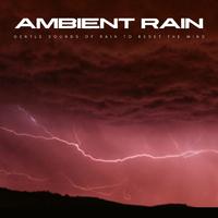 Ambient Rain: Gentle Sounds Of Rain To Reset The Mind