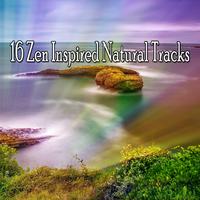 16 Zen Inspired Natural Tracks