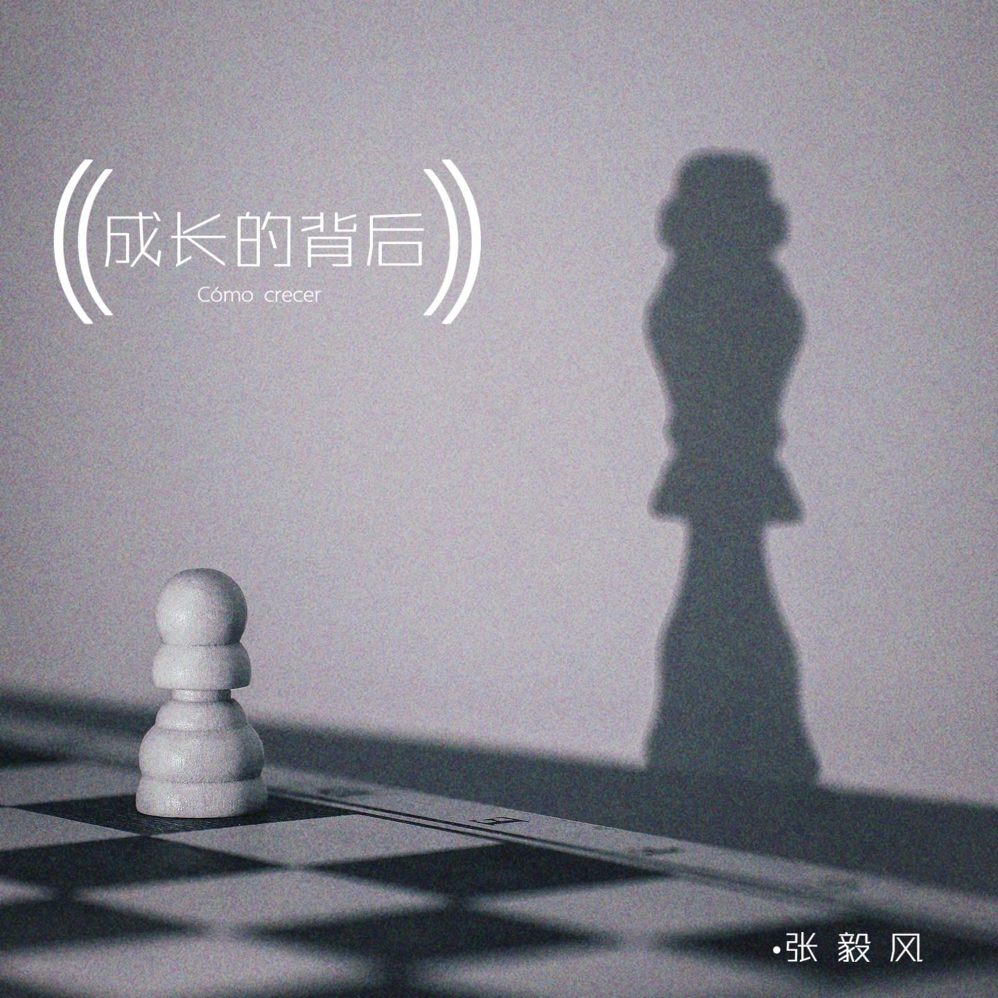 我要的选择 伴奏 - 张毅风封面
