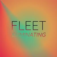 Fleet Eliminating