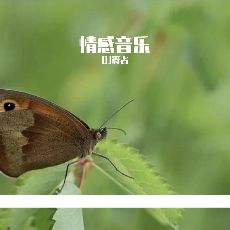 驿动的心 英文版