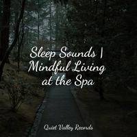 Sleep Sounds | Mindful Living at the Spa