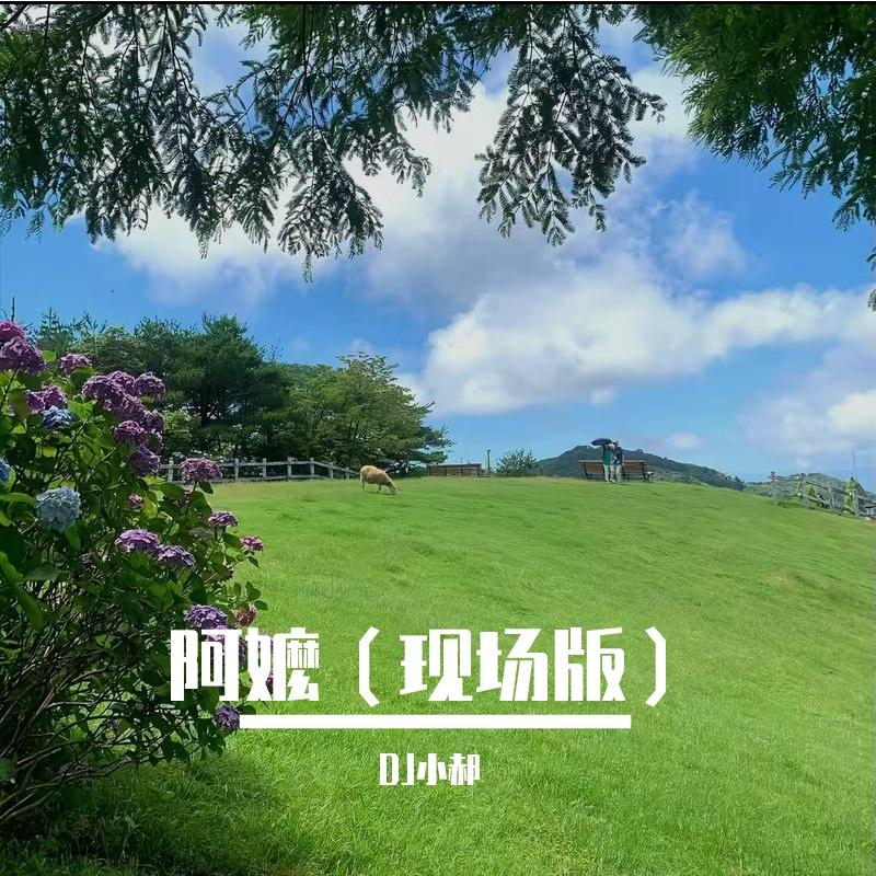 阿嬷封面