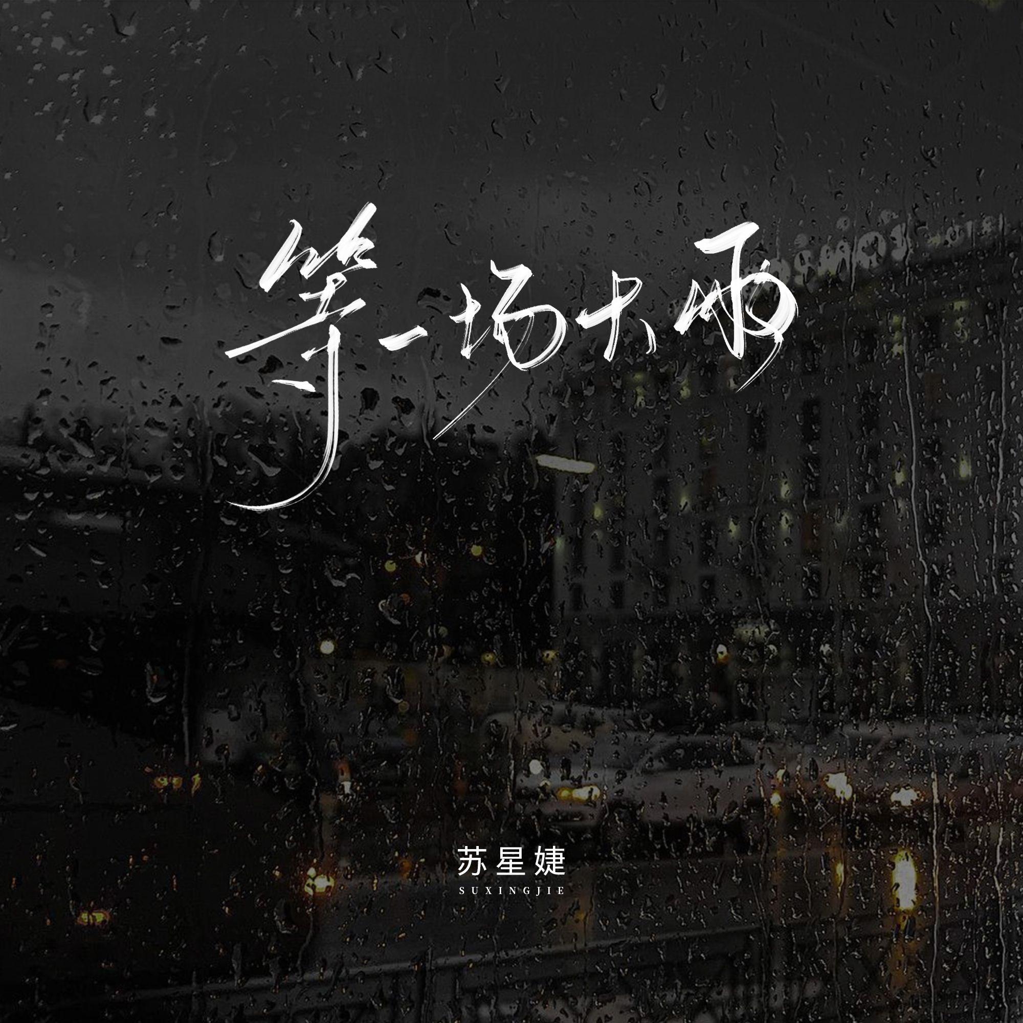 等一场大雨（错爱版）专辑