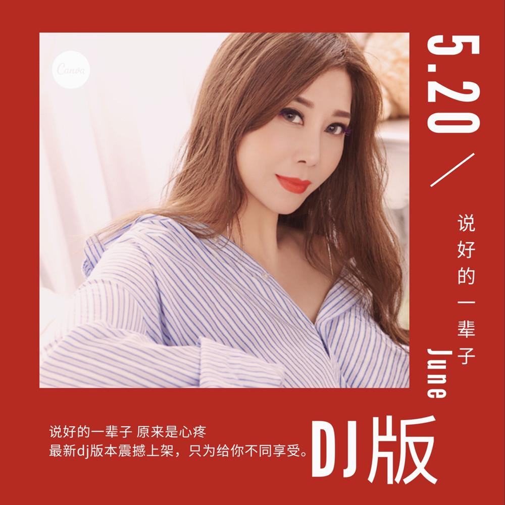 说好的一辈子 (DJ Remix) - 张钰敏封面