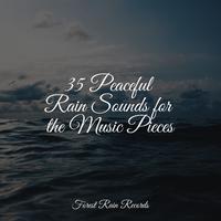 35 Peaceful Rain Sounds for the Music Pieces