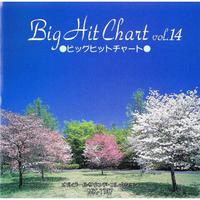 Big Hit Chart Vol.14