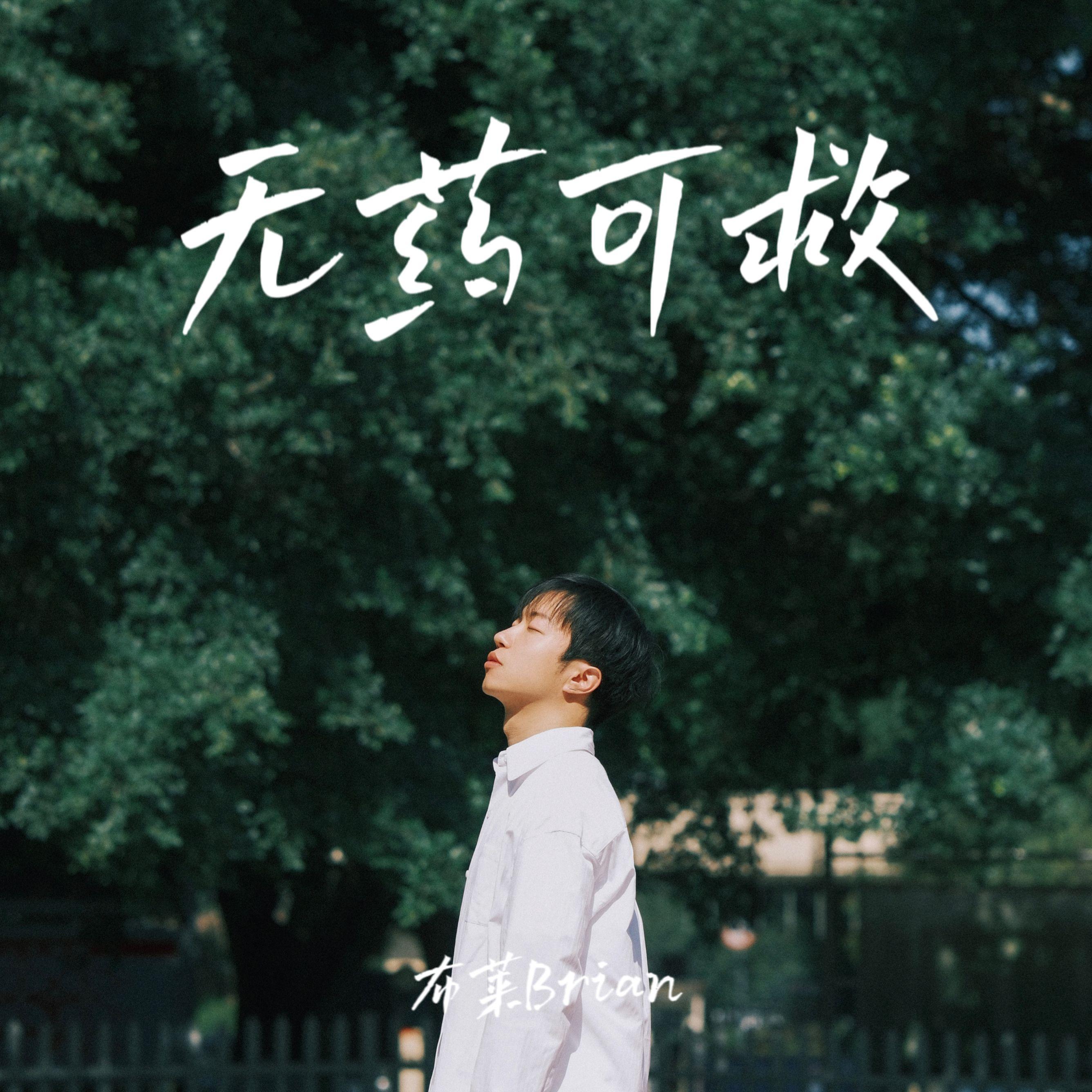 无药可救封面