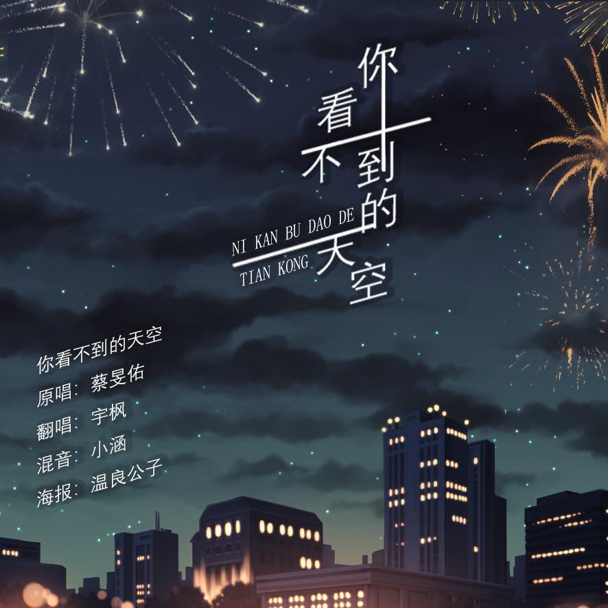 你看不到的天空（翻自 群星）封面