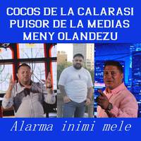 Alarma inimii mele