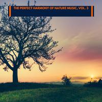 The Perfect Harmony of Nature Music, Vol. 3