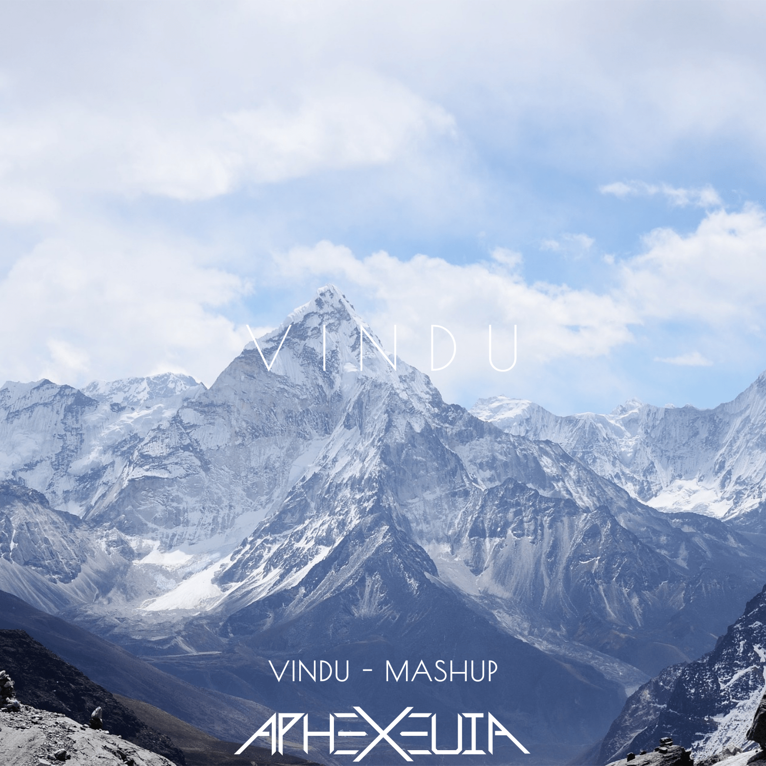 Vindu / Vindu-Vindu - Mashup（Aphexeuia / Vindu remix）