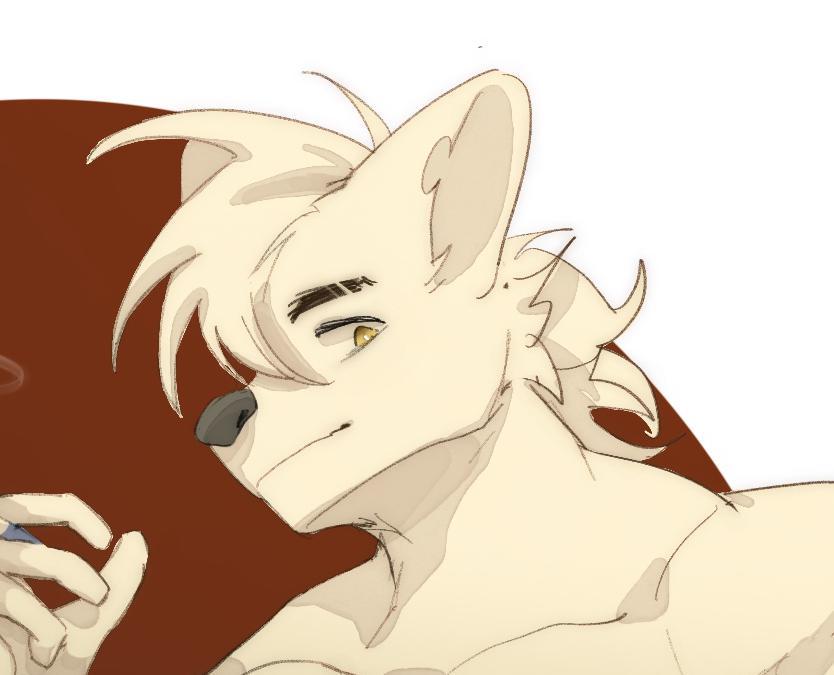 MACHWOLF