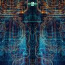 Quantum Psychology