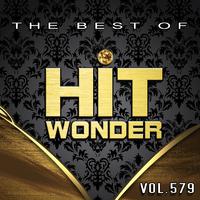 Hit Wonder: The Best Of, Vol. 579