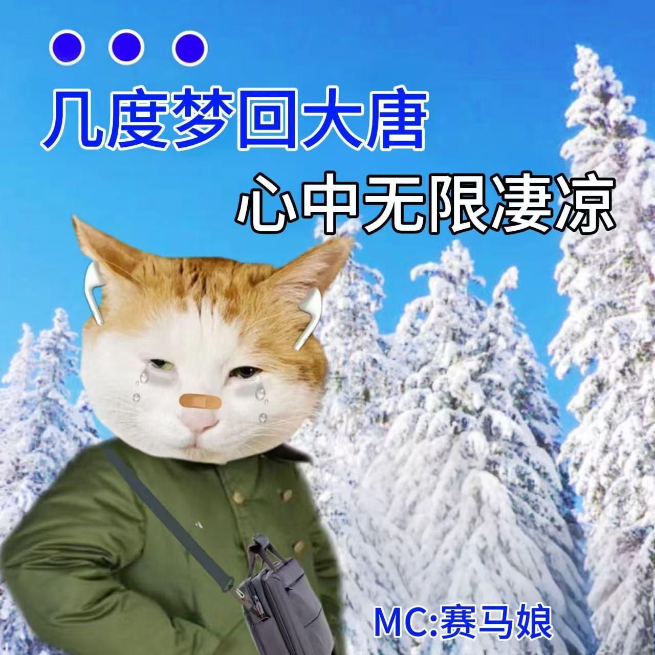 几度梦回大唐 (赛马娘版)封面